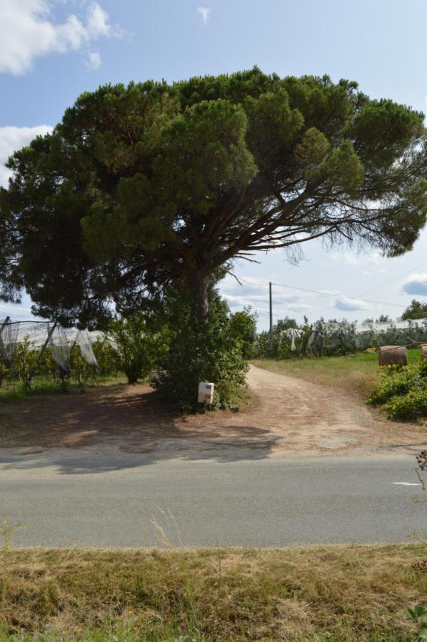 Guérin Gite Rural De Caractere מראה חיצוני תמונה